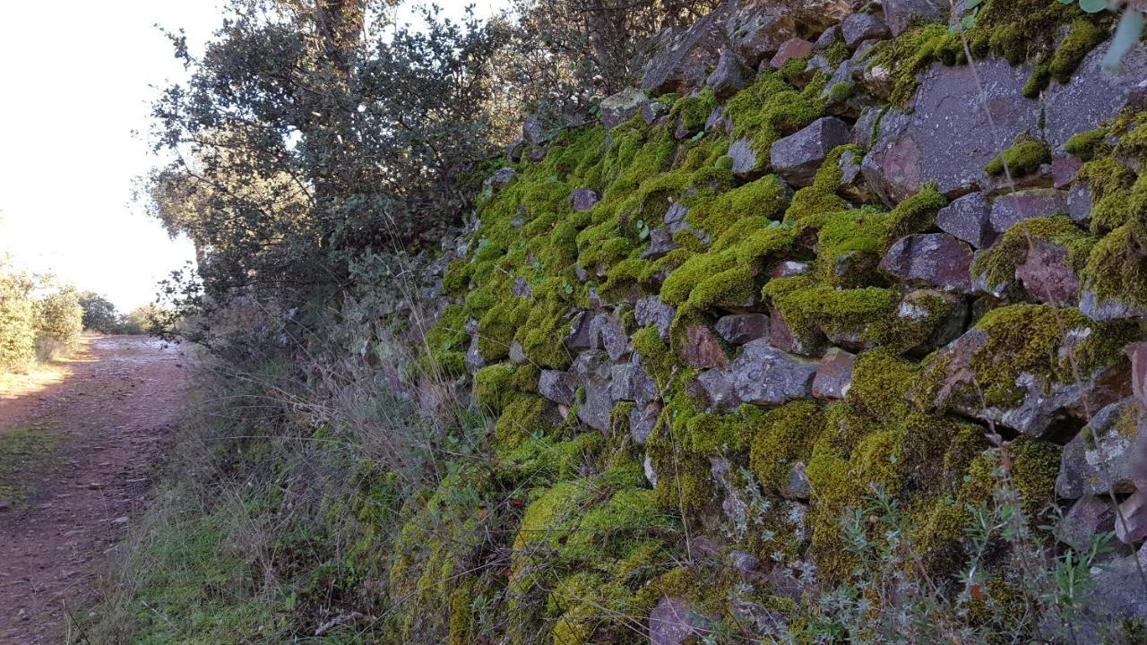 Casa Rural El Arco La Estrella  Exteriör bild